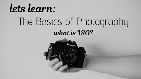 Let's Learn The Basics Of Photography Iso Lisa Marie Bourke